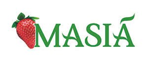 logo_masia_300px